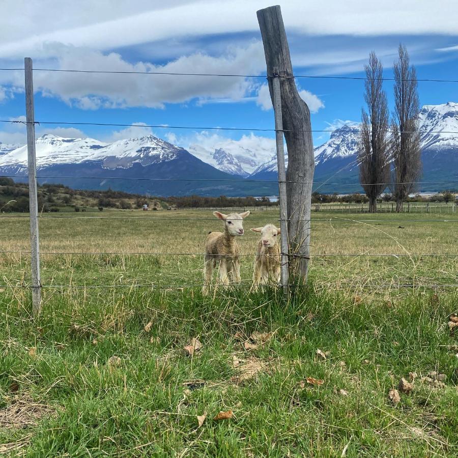 Estancia Nibepo Aike Colonia Francisco Perito Moreno Luaran gambar