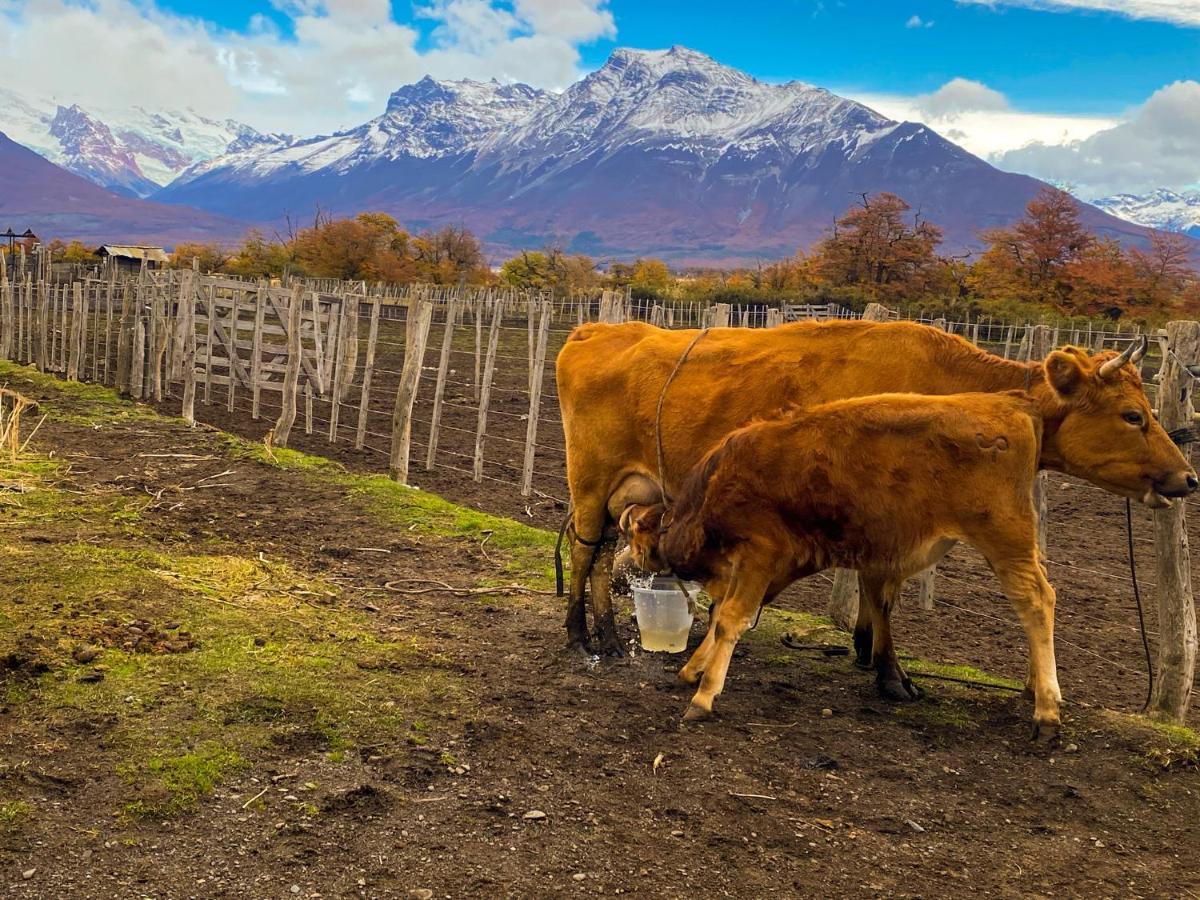 Estancia Nibepo Aike Colonia Francisco Perito Moreno Luaran gambar