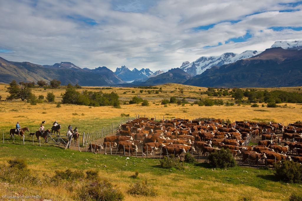 Estancia Nibepo Aike Colonia Francisco Perito Moreno Luaran gambar